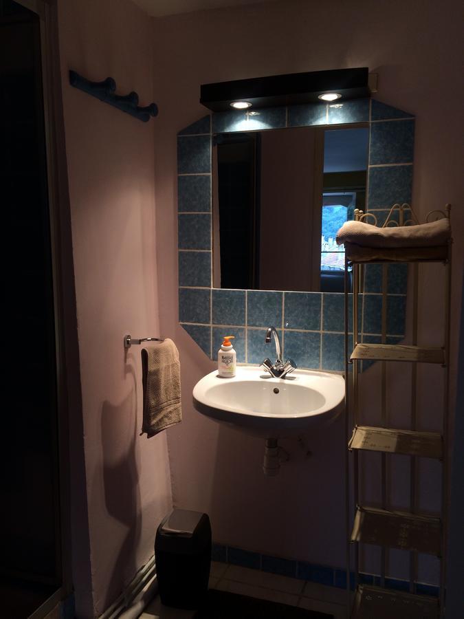 Au Detour Du Larrech Bed and Breakfast Castillon-en-Couserans Εξωτερικό φωτογραφία